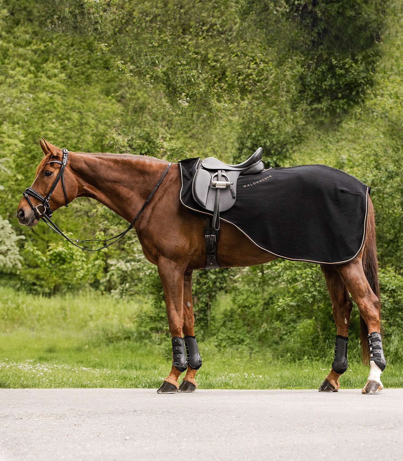 Waldhausen Ausreitdecke Modern Rose - schwarz/rosegold, Größe WB