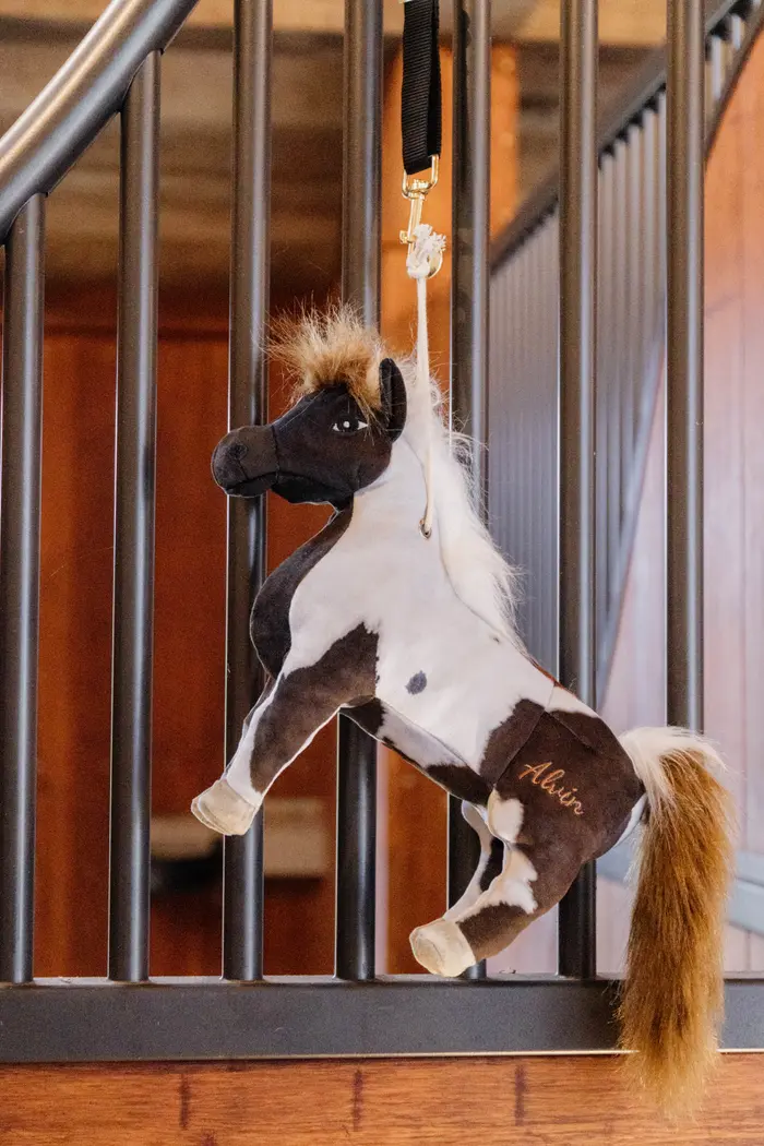 Kentucky Horsewear Relax Horse Toy - ALVIN