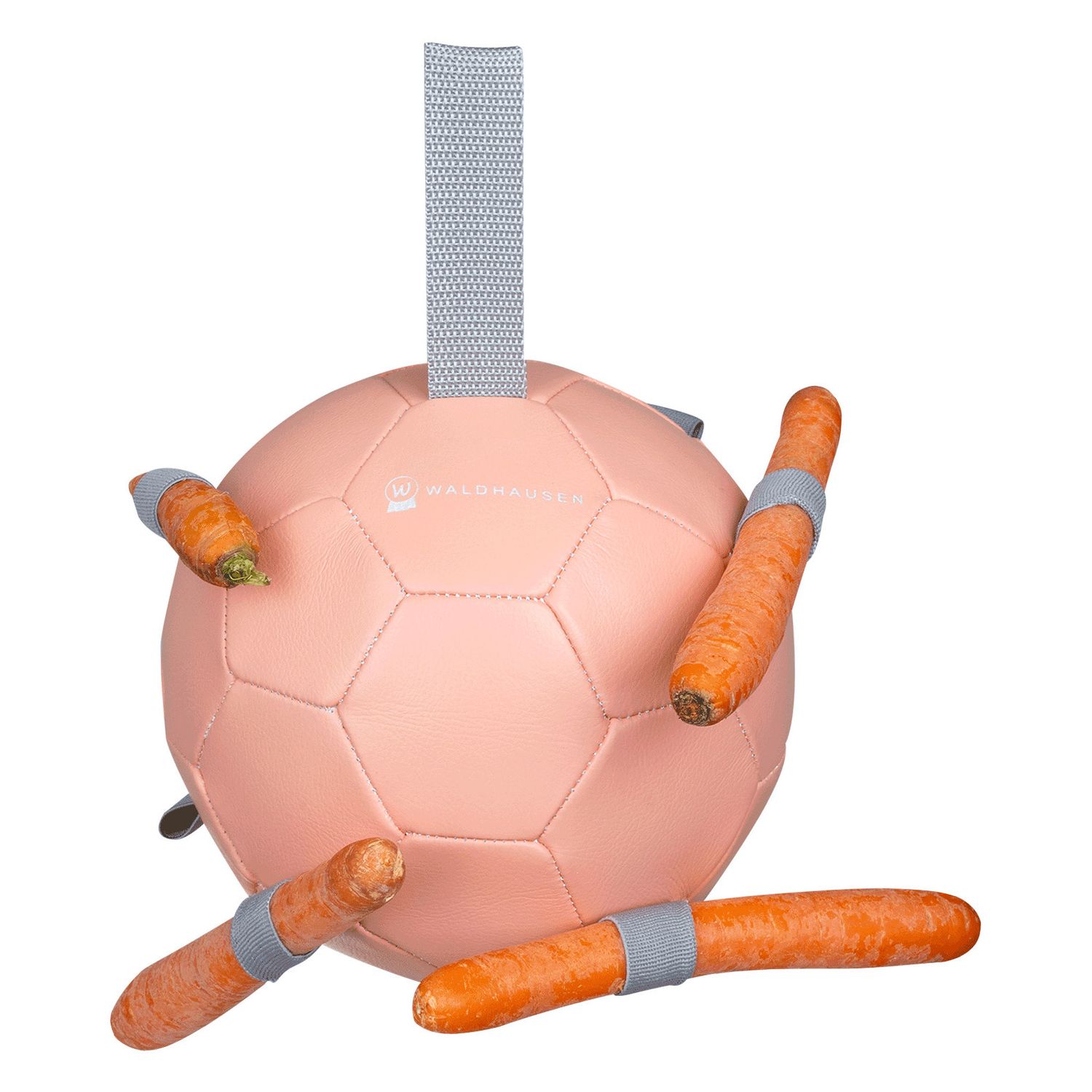 Waldhausen Karottenball - linnea pink