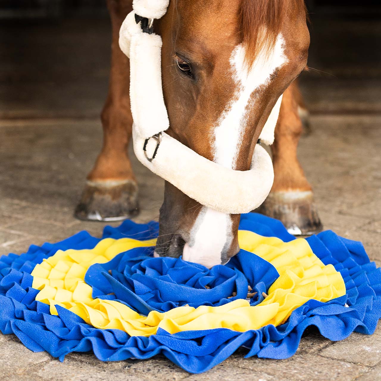 Qhp Schnüffelmatte Für Pferd
