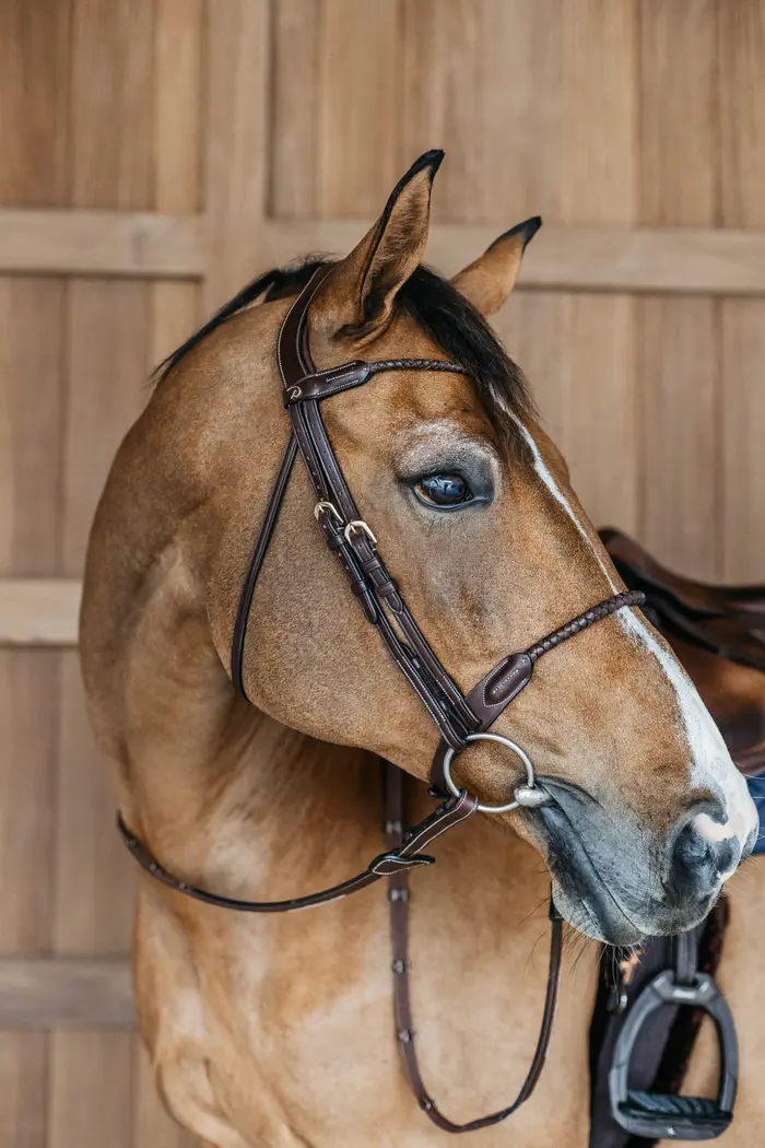 Dyon Working Collezione Trense CLASSIC Cavalletto – Equitazione Messicana Di Qualità