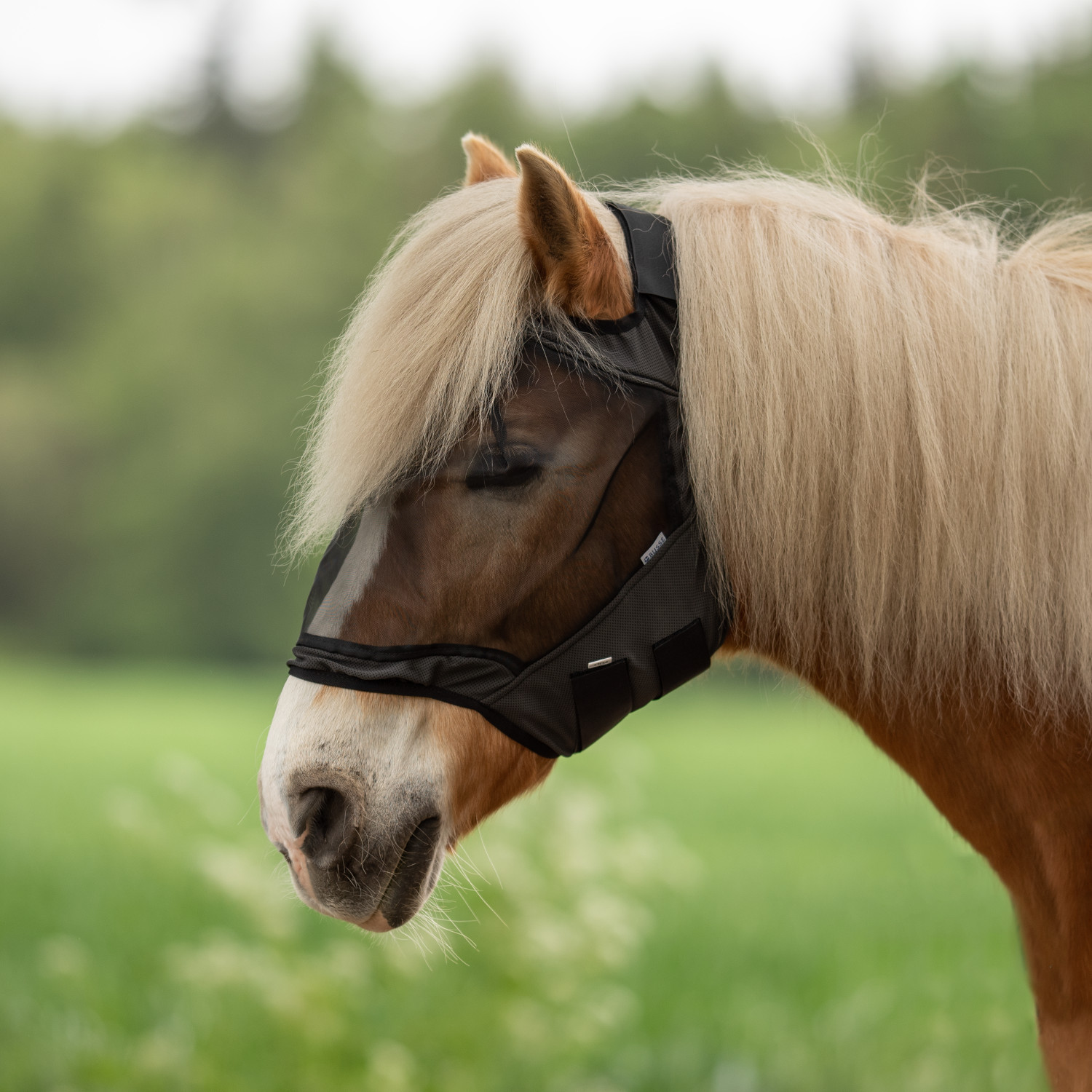 Busse Fliegenmaske Fly Guard Free - schwarz, Größe Pony