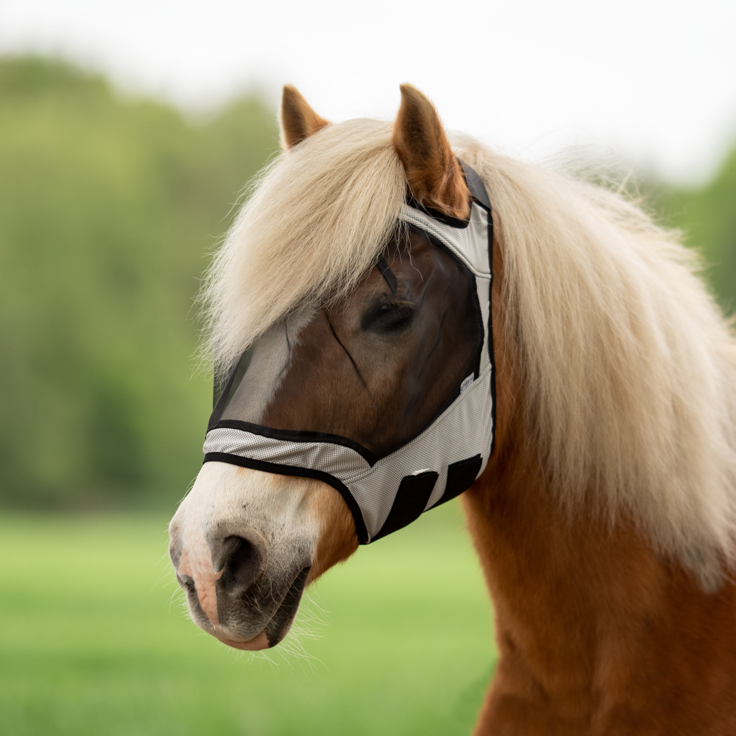 Busse Fliegenmaske Fly Guard Free - hellgrau, Größe Warmblut Extra