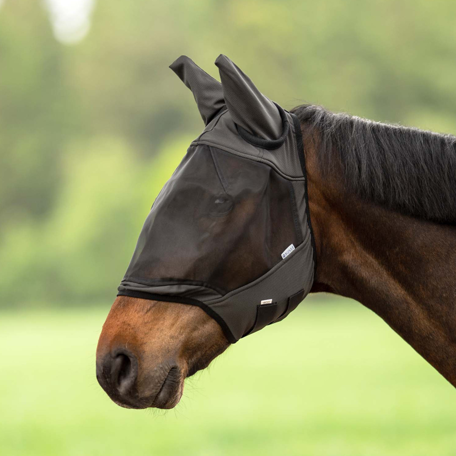 Vliegenmasker WeatherBeeta Deluxe Durable Ear&Nose Zwart-paars - Eppleck