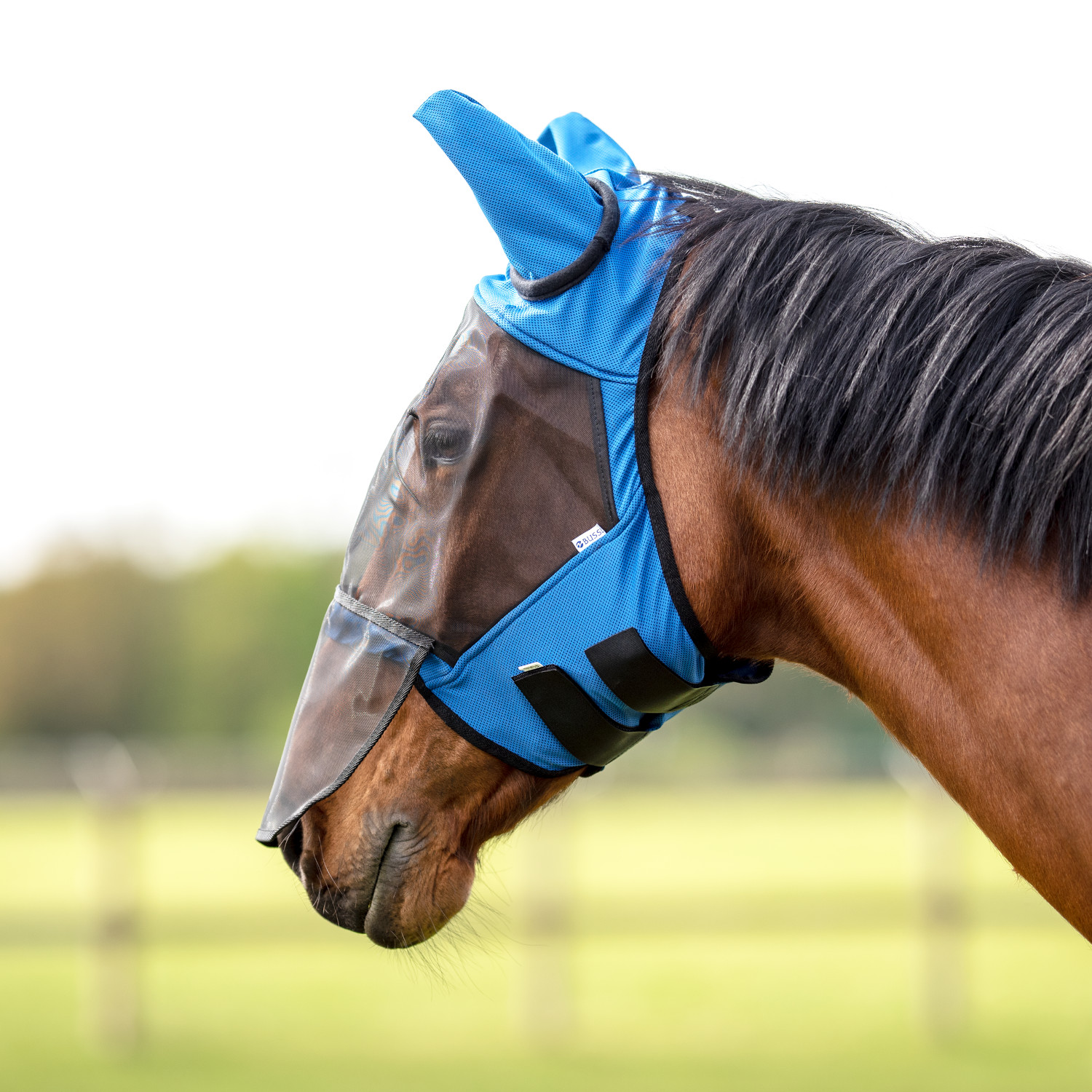 Busse Fliegenmaske Fly Guard II Plus - blau, Größe Shetty