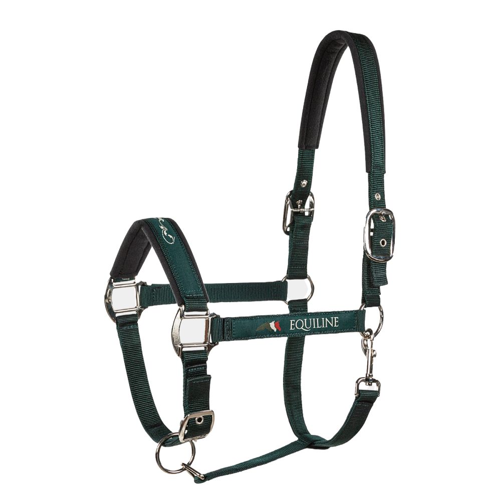 Equiline Timmy Halfter - bottle green, Größe VB