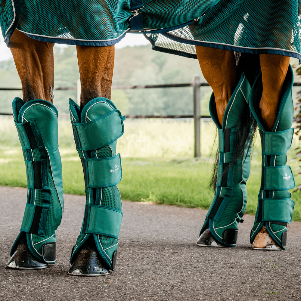 Horseware Signature Transportgamaschen 4er-Set - hunter green, Größe Warmblut