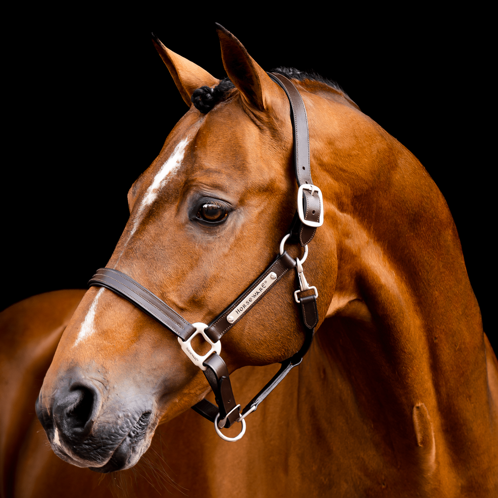 Horseware Signature Lederhalfter - brown, Größe Vollblut