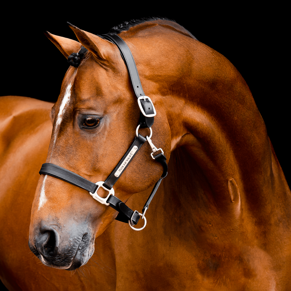 Horseware Signature Lederhalfter - black, Größe Vollblut