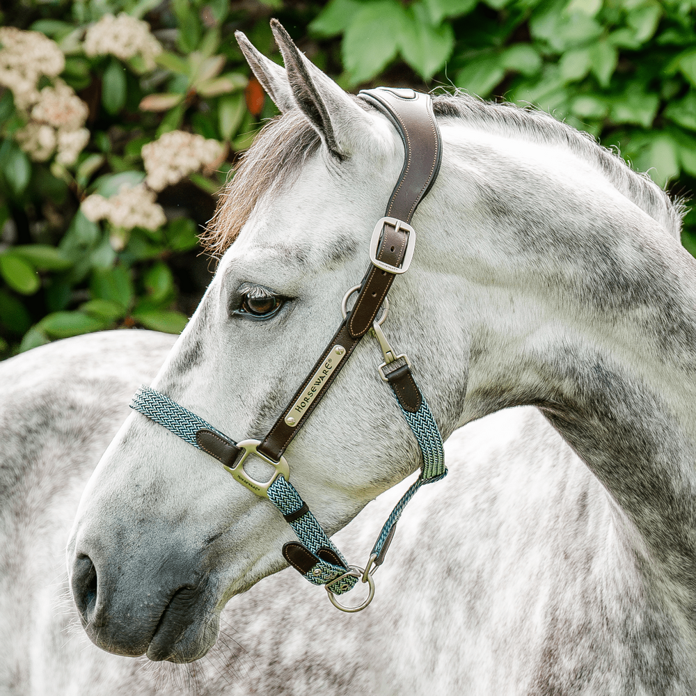 Horseware Signature anatomisches Lederhalfter - brown/navy & blue, Größe Warmblut
