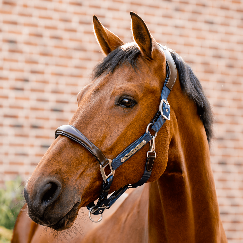 Horseware Signature Competition anatomisches Lederhalter - brown/navy, Größe Warmblut