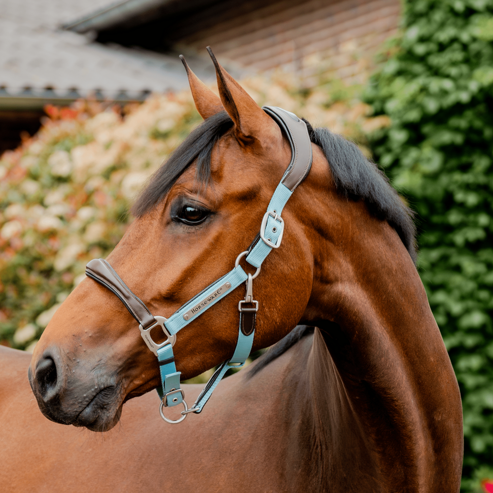 Horseware Signature Competition anatomisches Lederhalter - brown/blue, Größe Warmblut
