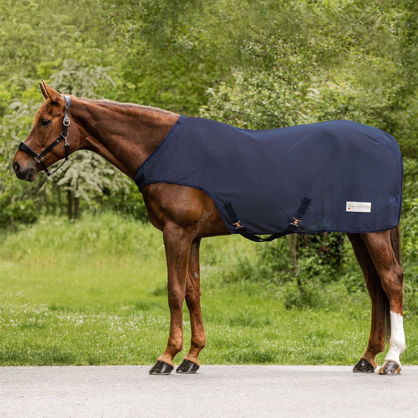 Waldhausen Fliegen-Führmaschinendecke Comfort - nachtblau, Größe 155 cm