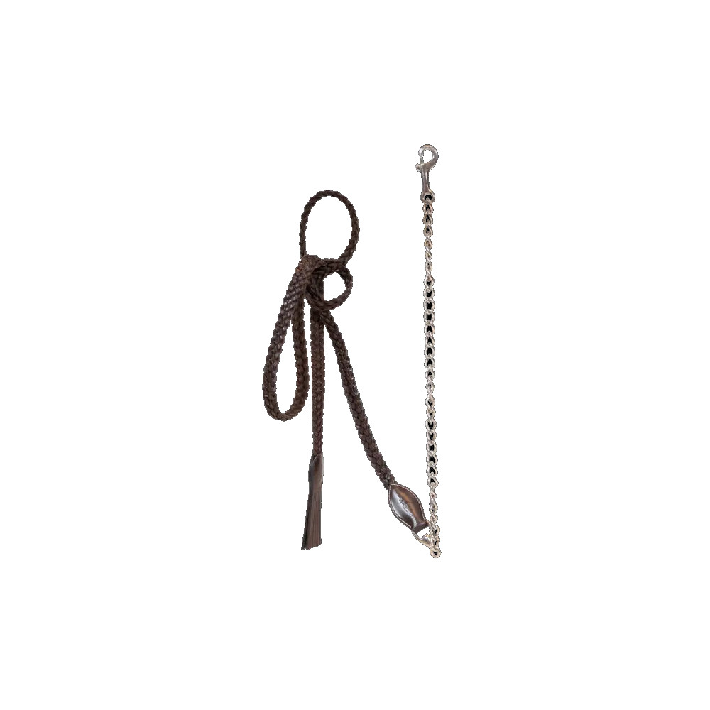 Dyon Plaited Leder Führkette - braun