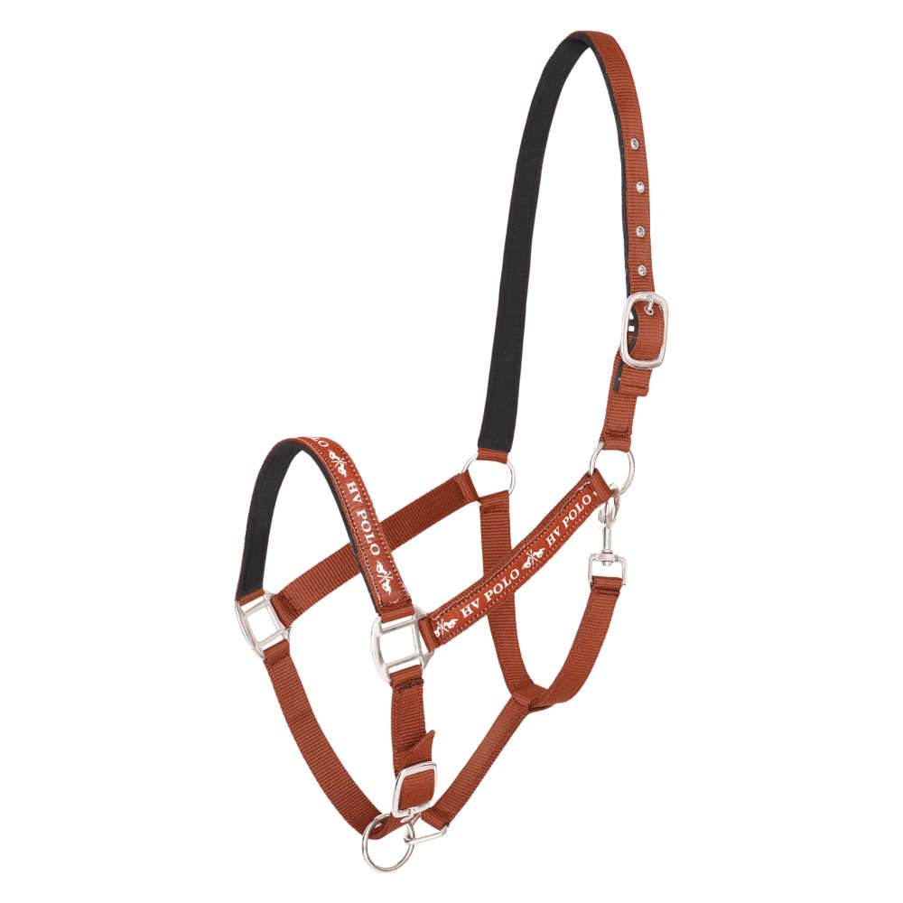 HV Polo HVPNena Halfter - pumpkin, Größe Extra Warmblut