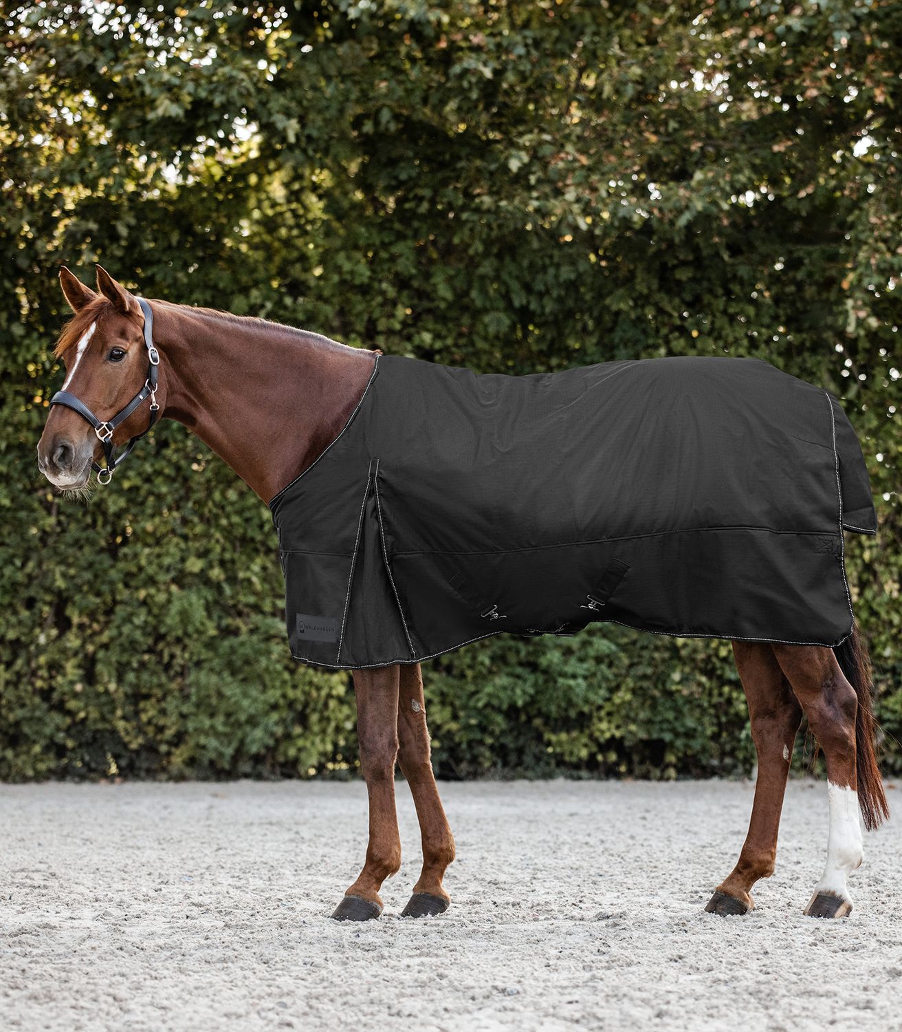 Waldhausen Outdoordecke Nordic 200g - schwarz, Größe 115 cm