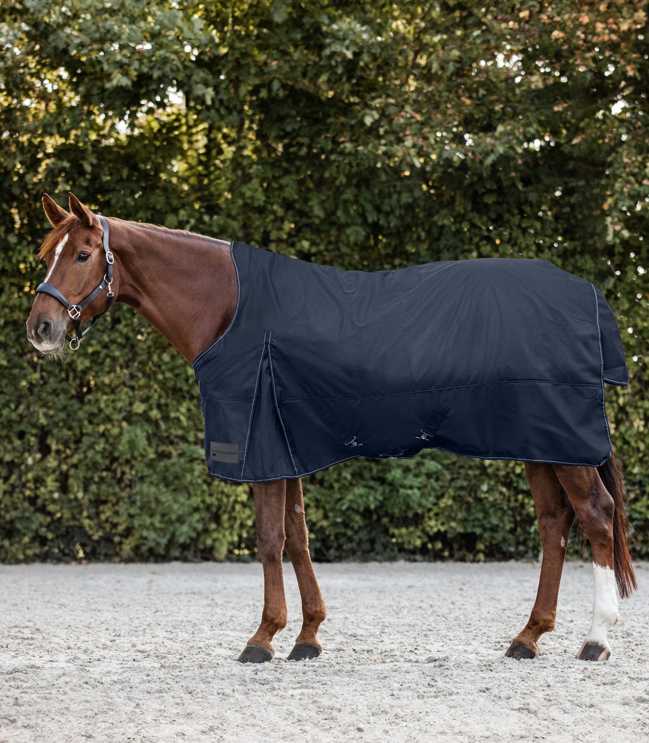 Horse Shop DE