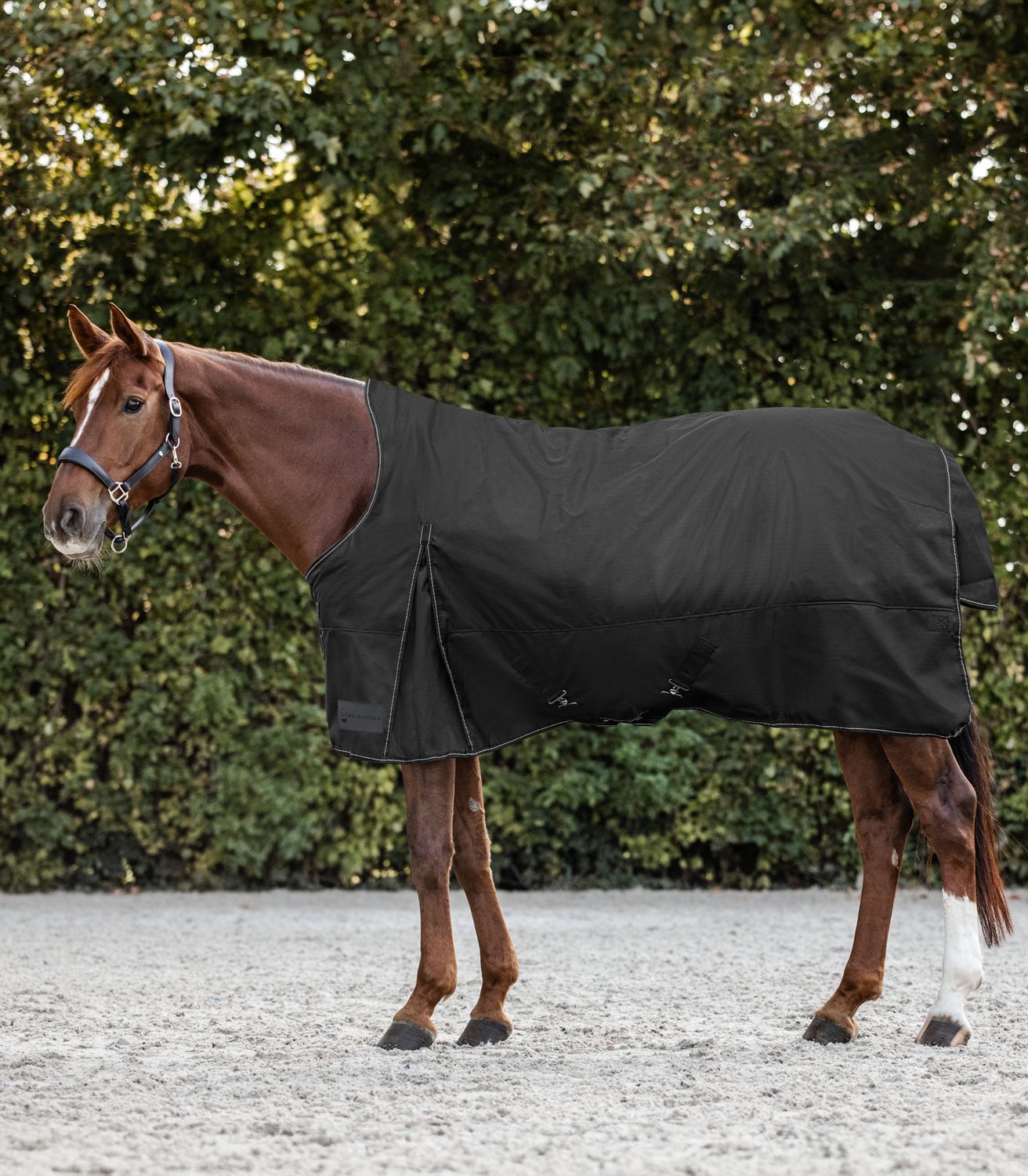 Waldhausen Outdoordecke Nordic High Neck 200g - schwarz, Größe 165 cm