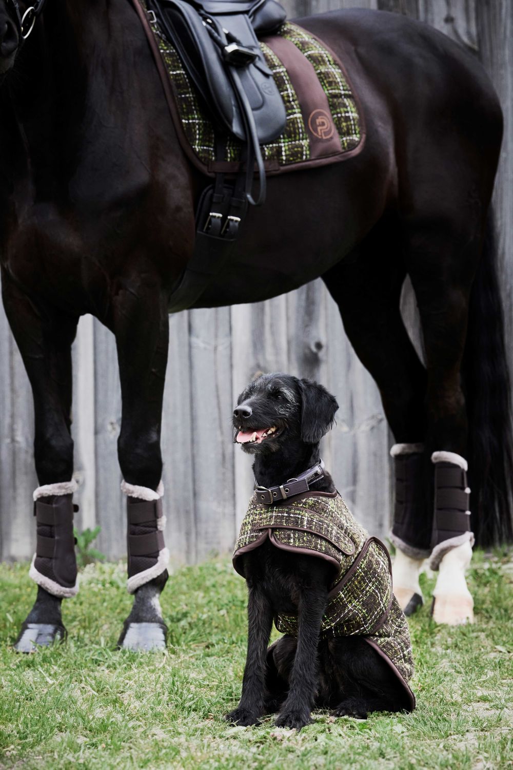Eskadron Platinum 24 Boucl Hundemantel | Horse Shop