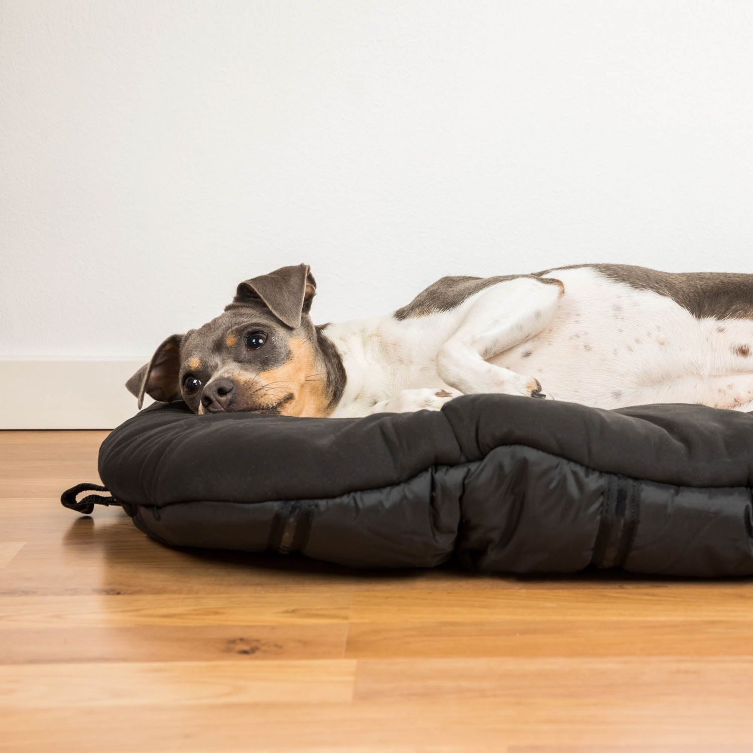 hundekissen outdoor Dreamer Pure Outdoor Hundebett main image 1