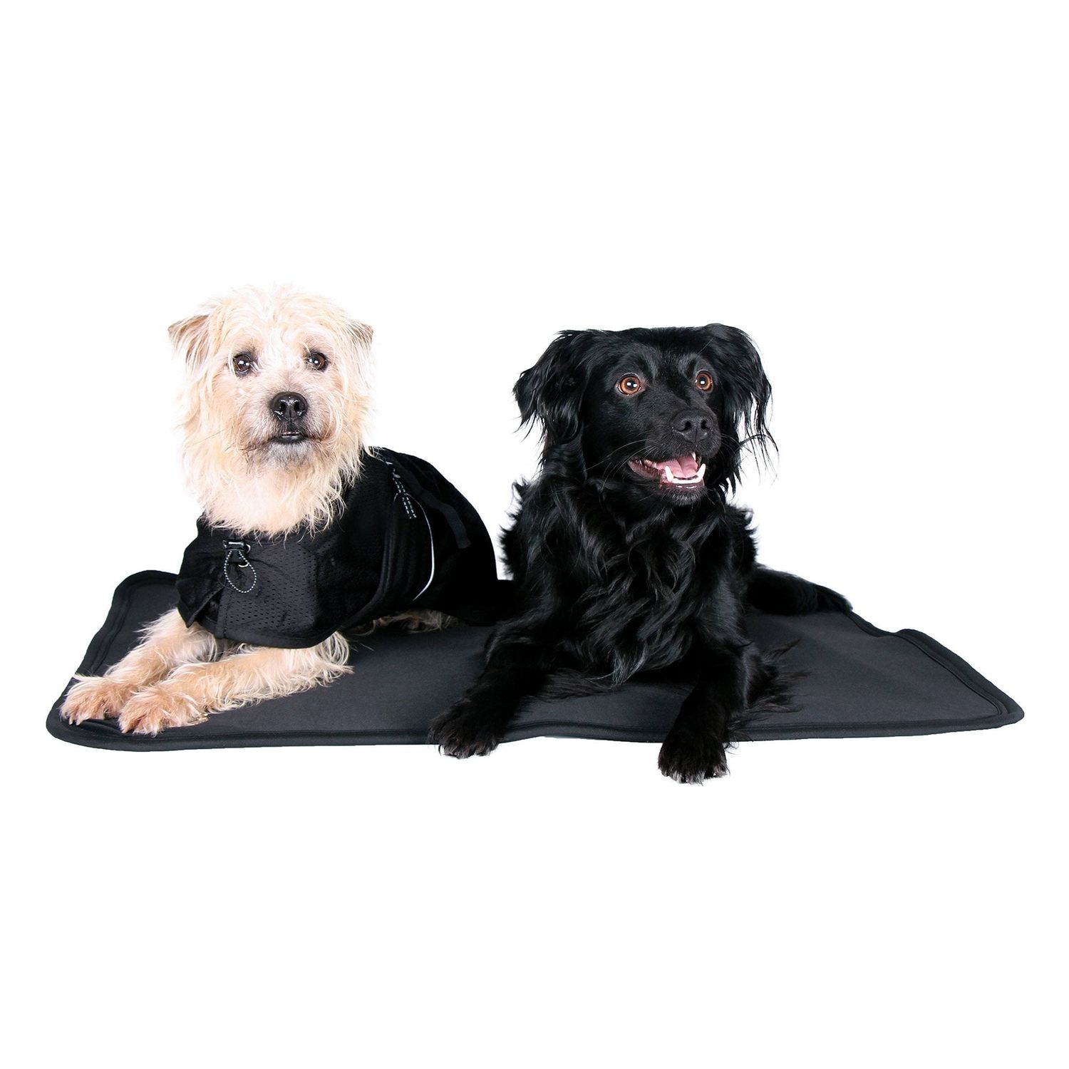 Back On Track® Hundematratze Cage Fit – Leicht & Waschbar, 86x58 Cm, Für Auto & Liegeplatz | Keramikpartikel Für Wärme