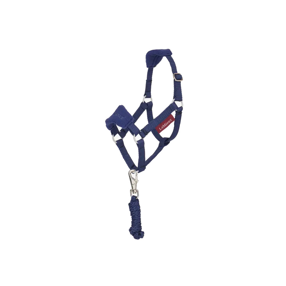 LeMieux Toy Pony Vogue Halfter und Führstrick Glacier - ink blue