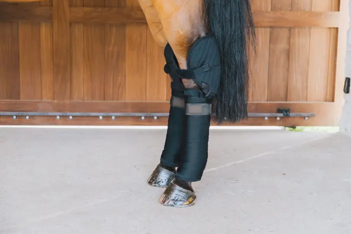 Kentucky Horsewear Transport- und Stallbandagenunterlagen mit Sprunggelenkschutz - schwarz, Größe Full