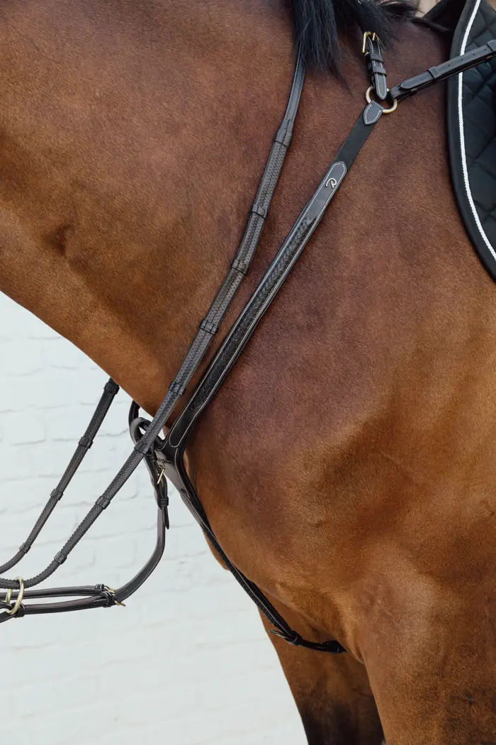 Dyon geflochtenes Vorderzeug - schwarz, Größe Pony