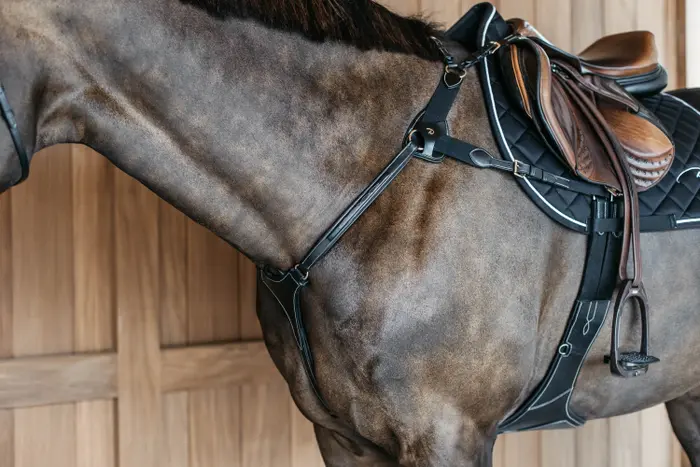 Dyon 5-Punkt-Vorderzeug mit Elastikeinsatz NEC - schwarz, Größe Pony