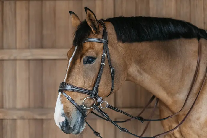 Dyon Working Motion Trense WBD - braun, Größe Pony