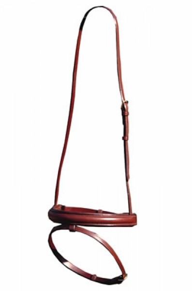 Euroriding Reithalfter englisch