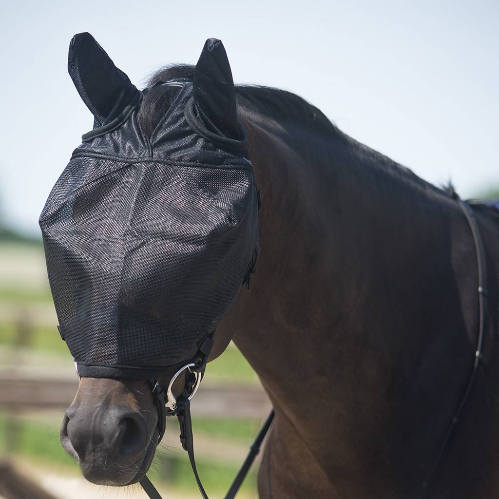 Qhp ReitFliegenmaske Mit Ohren