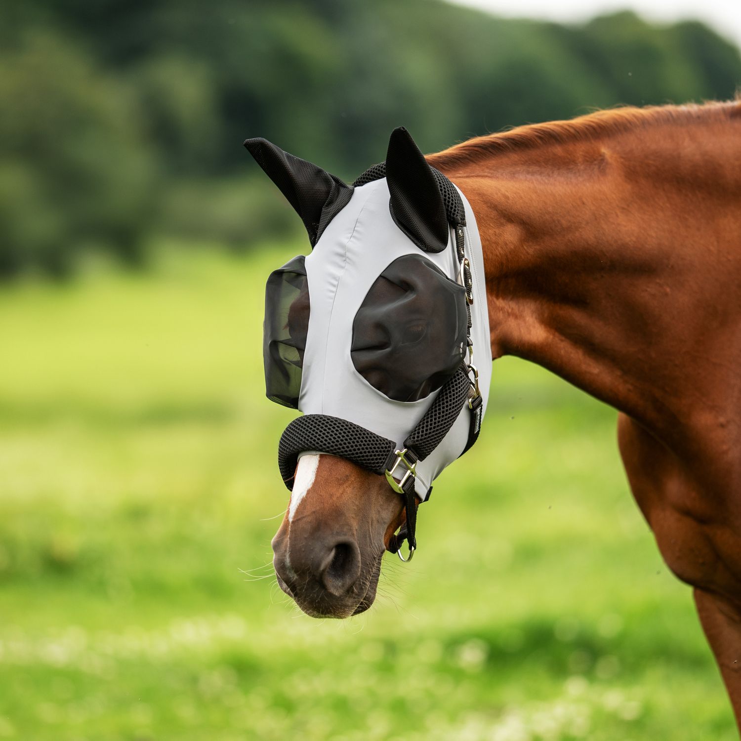 Busse Fliegenmaske TWIN FIT FLEXI CL - grau, Größe Shetty