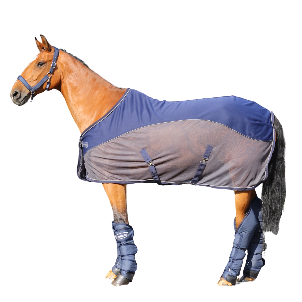Euroriding Fliegendecke Dry Easy - navy/grau, Größe 145 cm