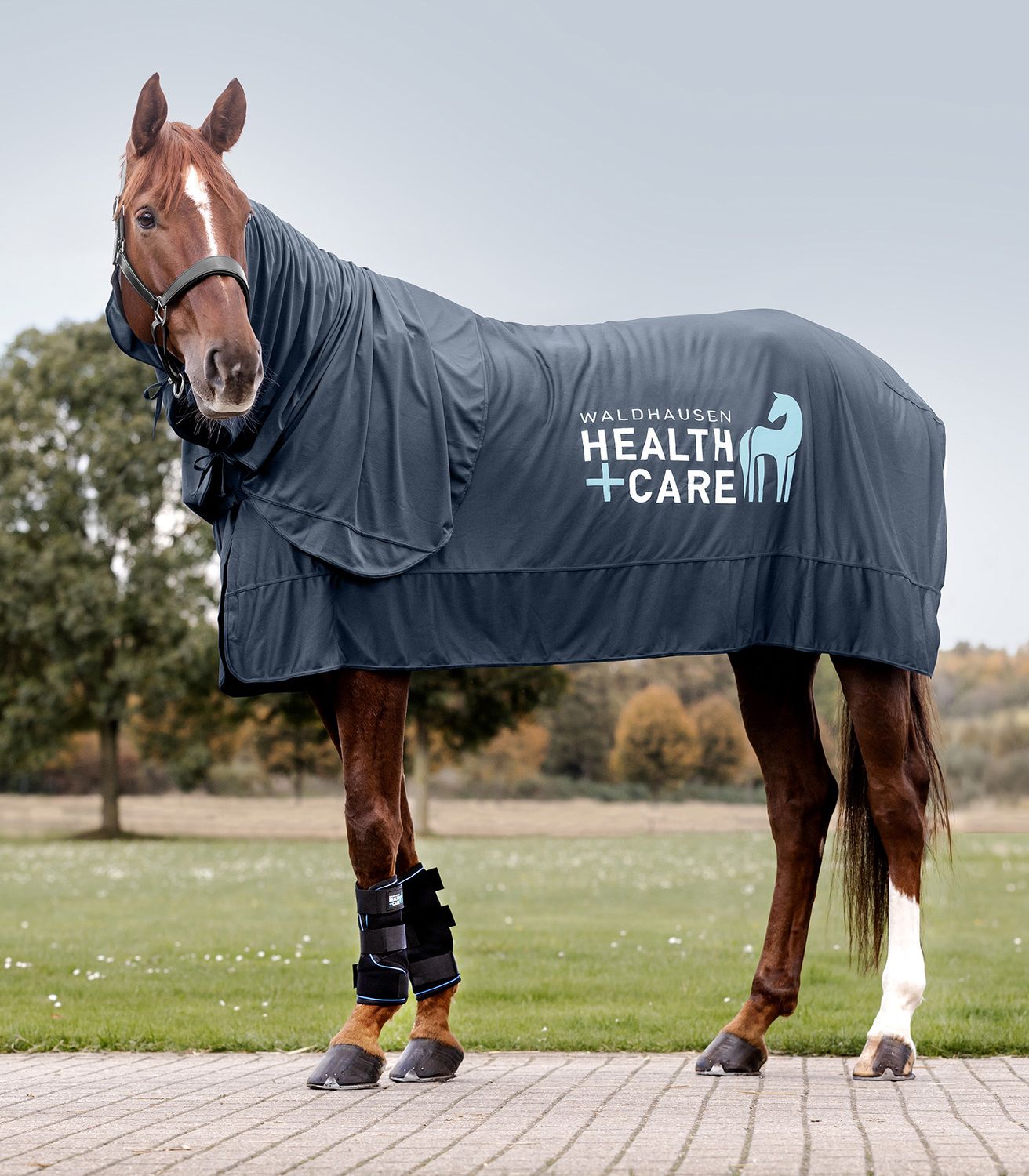 Waldhausen Health + Care Ice Layer Halsteil - nachtblau, Größe Pony