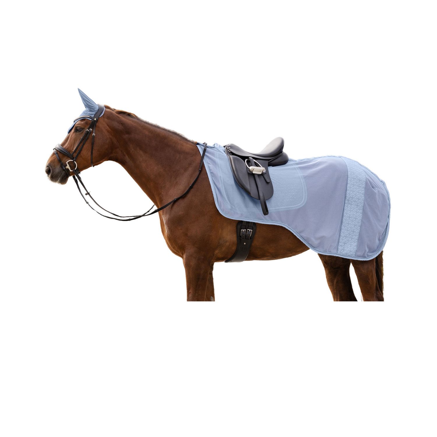 Waldhausen Ausreitdecke Rom - pastellblau, Größe Pony