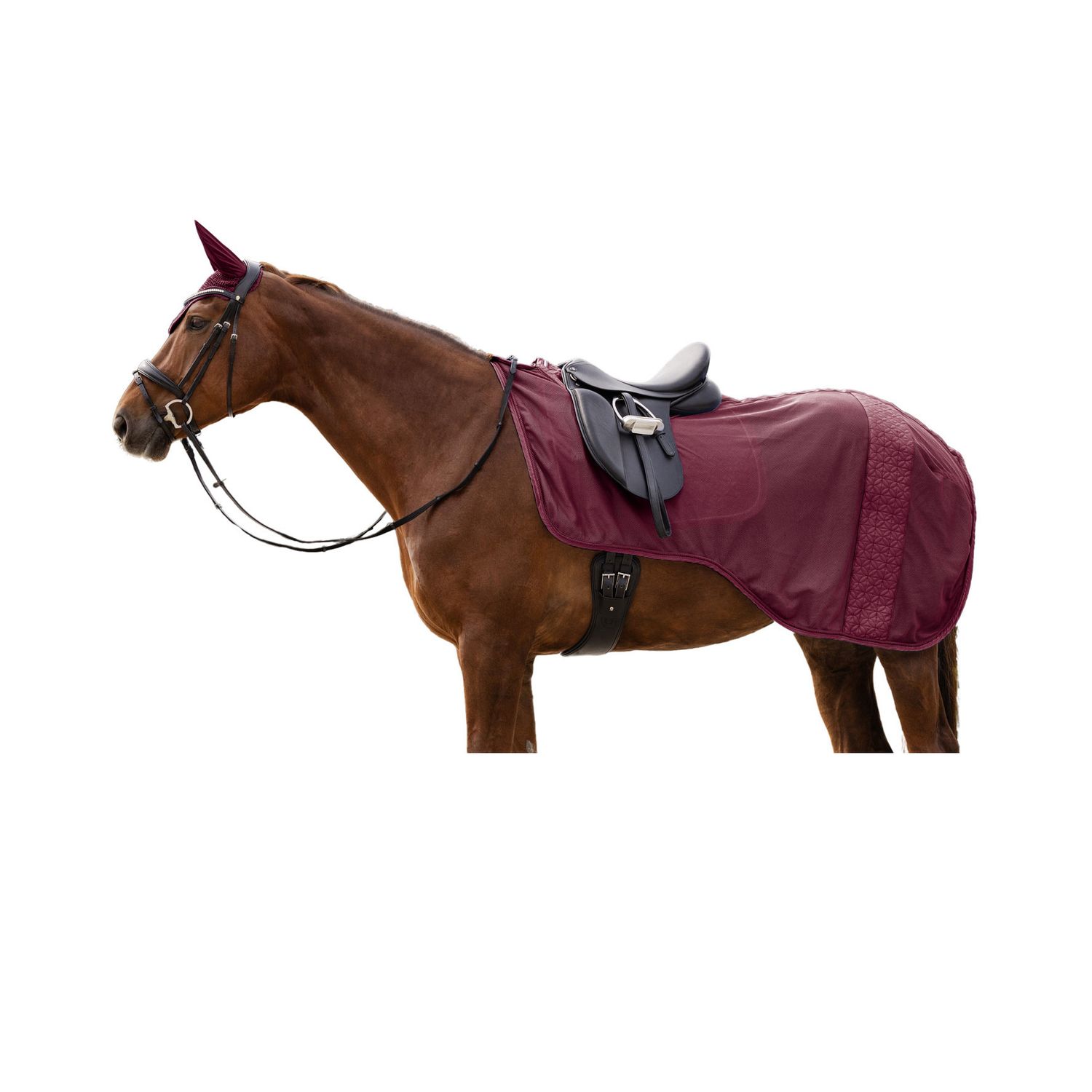 Waldhausen Ausreitdecke Rom - samtrot, Größe Pony