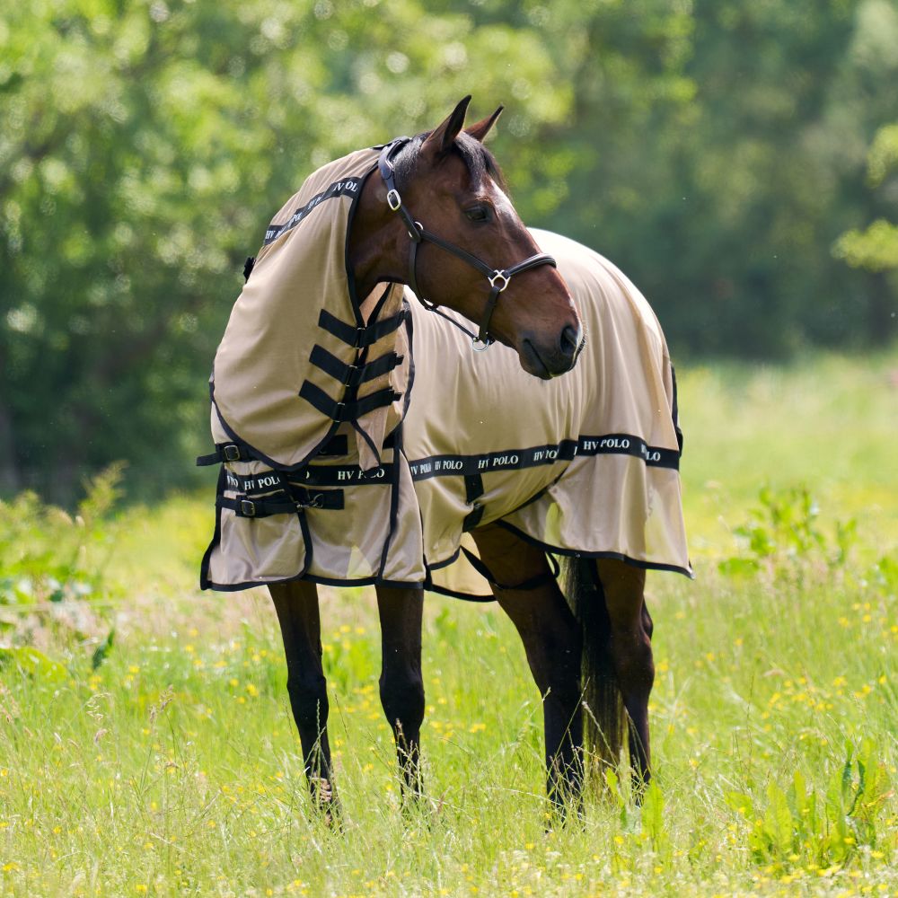 HV Polo Fliegendecke HVPNena - straw, Größe 125 cm