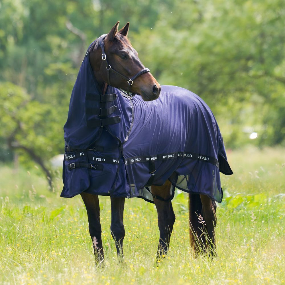 HV Polo Fliegendecke HVPNena - navy, Größe 155 cm