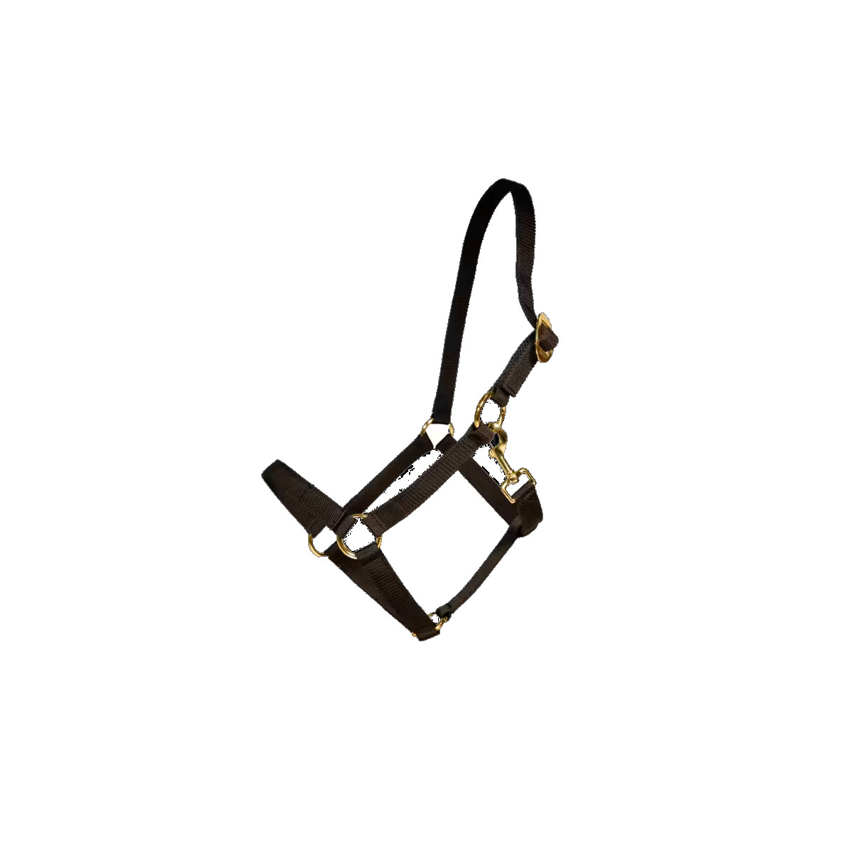 Kentucky Horsewear Nylon Halfter - schwarz, Größe Shetty