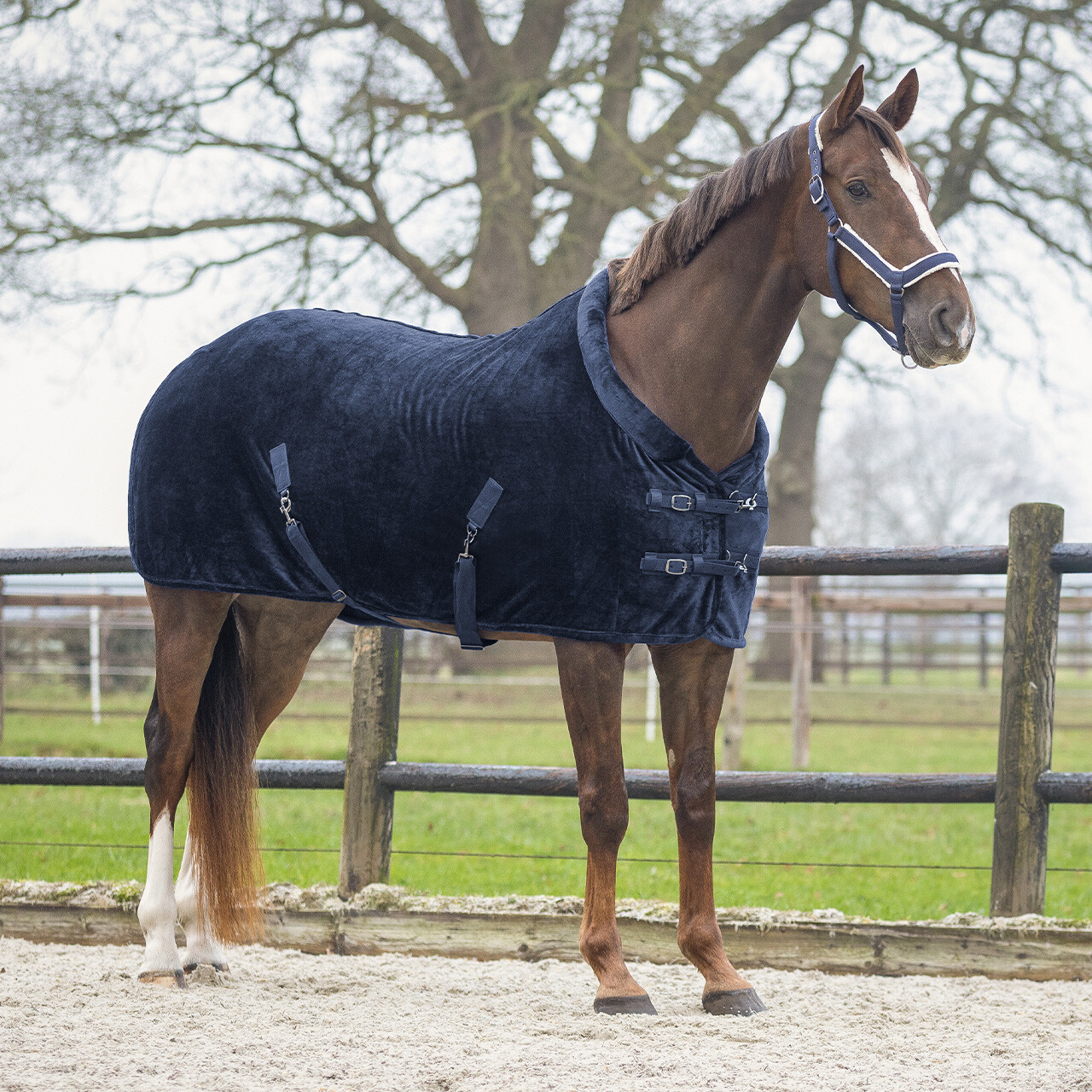 QHP Showdecke Sensisoft - navy, Größe 155 cm