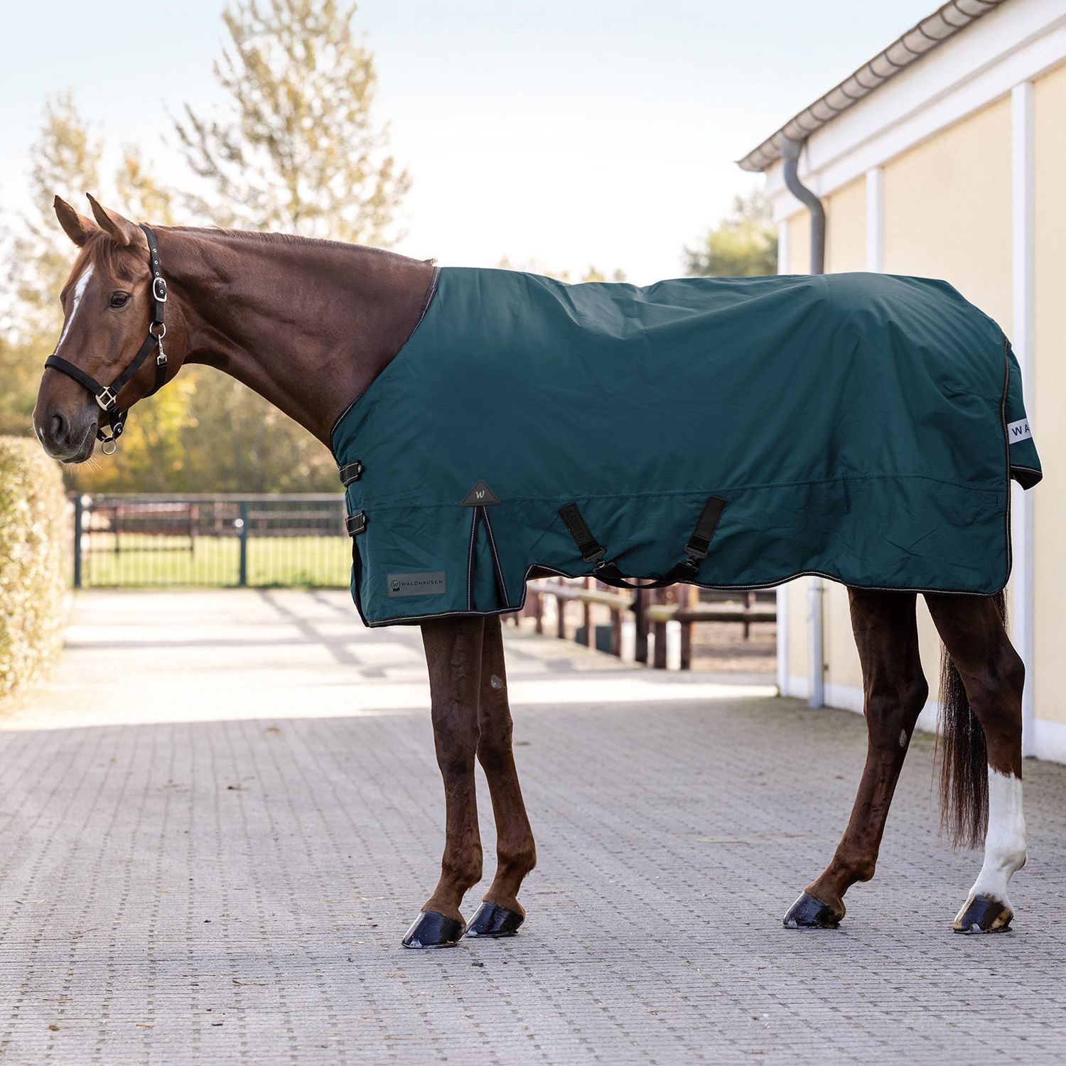 Waldhausen Outdoordecke Arctic light - petrolblau, Größe 135 cm