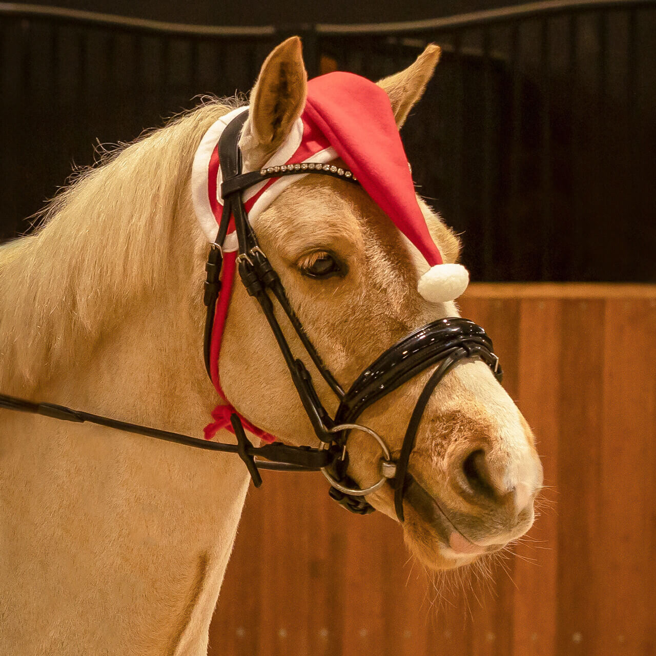 QHP Weihnachtsmütze Pferd - rot, Größe Warmblut