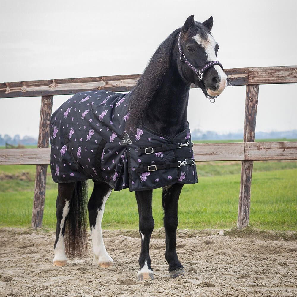 QHP Regendecke Turnout Lize 100g - schwarz/violet, Größe 65 cm