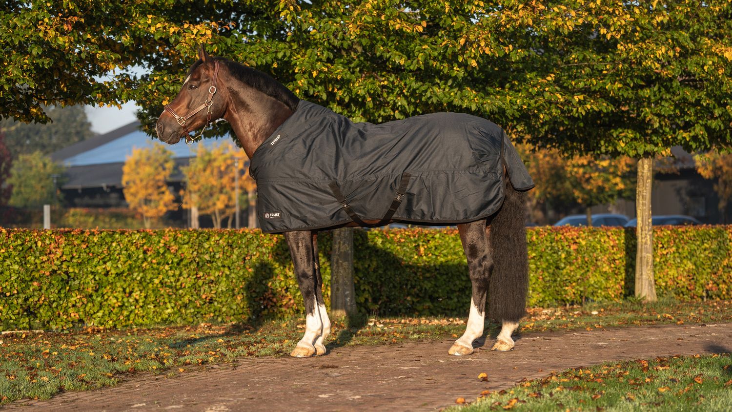 Trust Tetris Outdoordecke 300G-image