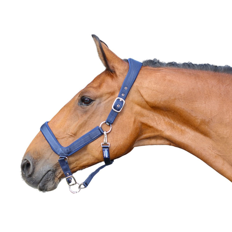 Euroriding Halfter Nylon anatomisch - blau, Größe Cob