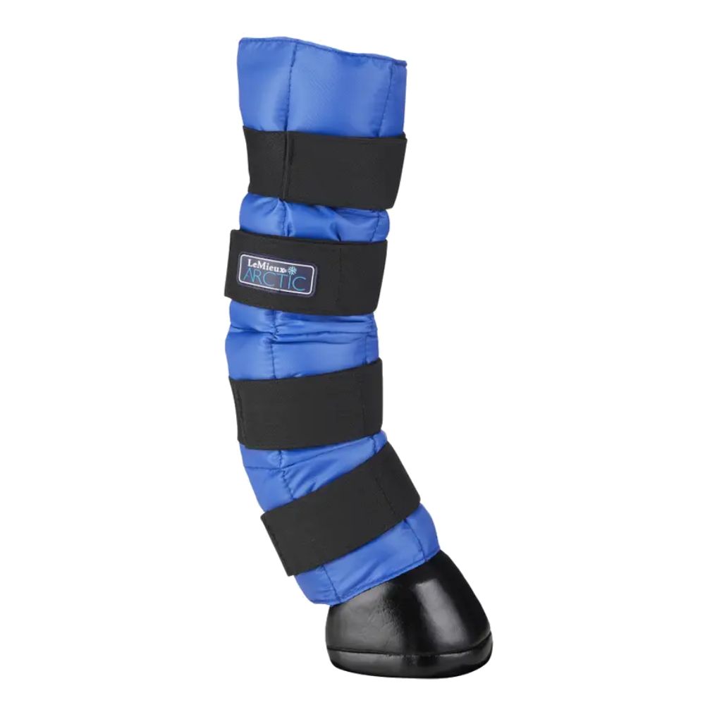 LeMieux Arctic Ice Boot (Paar) - blue