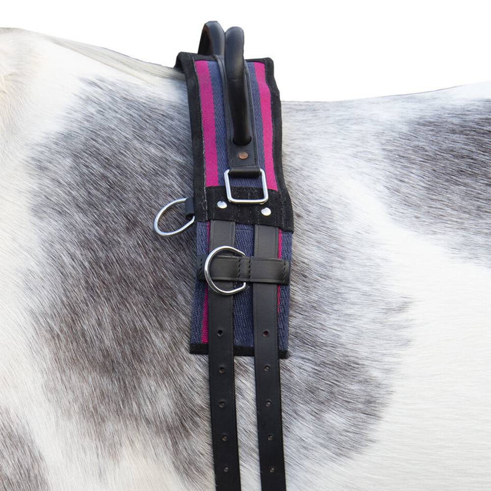 HKM Longiergurt -Canvas- mit Doppelgriff - navy/passion pink, Größe Shetty