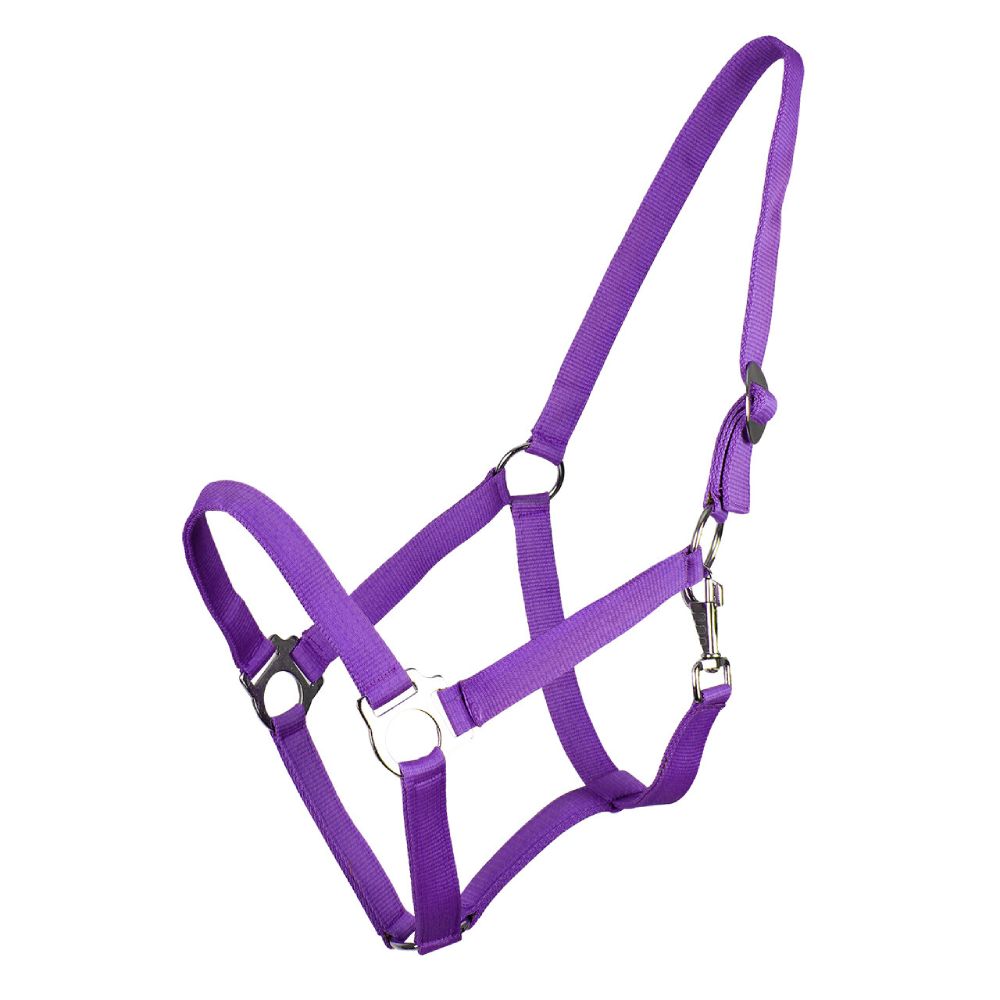 QHP Halfter mit Schiebeschnalle - passion flower, Größe Mini Shetty