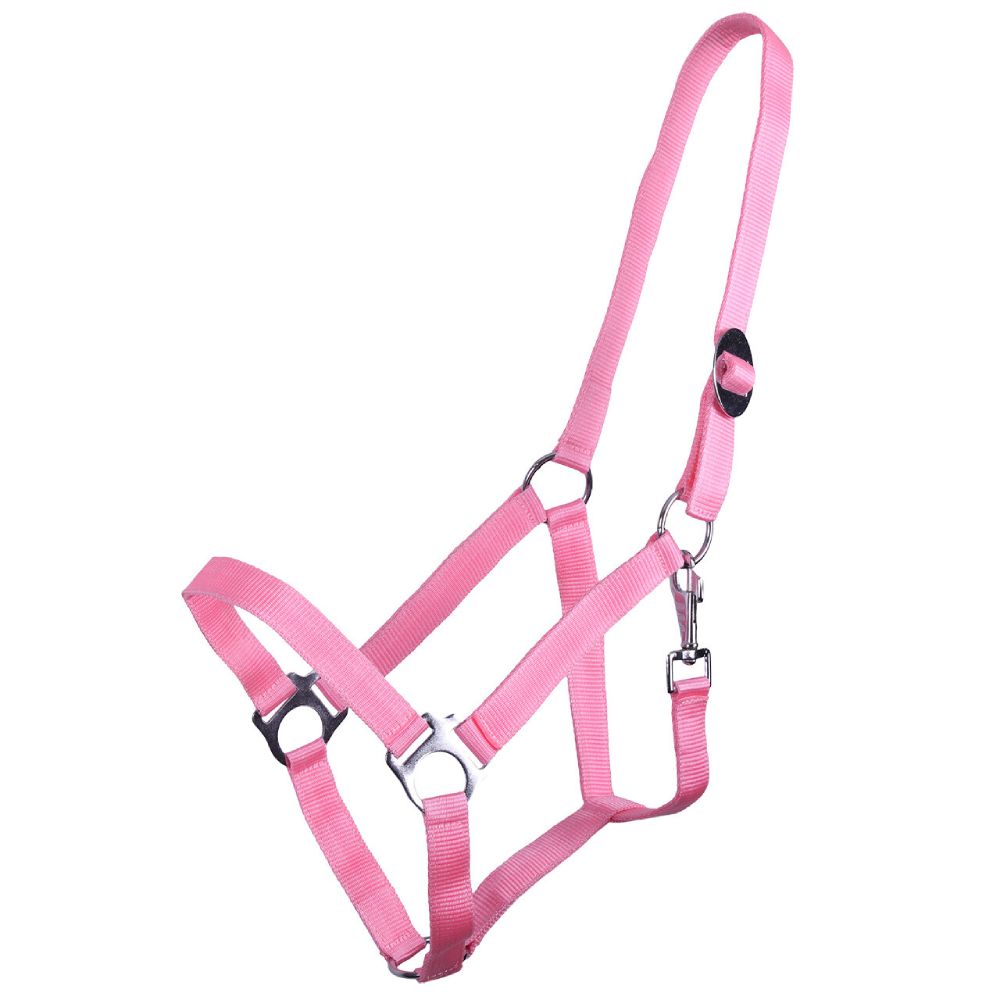 QHP Halfter mit Schiebeschnalle - flamingo-pink, Größe Shetty